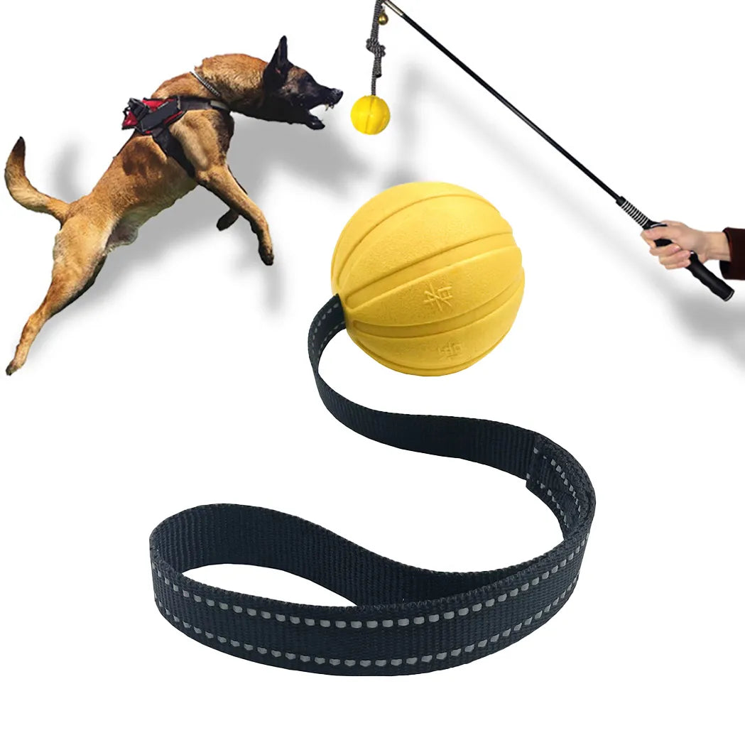 Durable Interactive Dog Toy Balls on Rope for Chewing and Training - EVA Foam, Floats for Small to Large Breeds