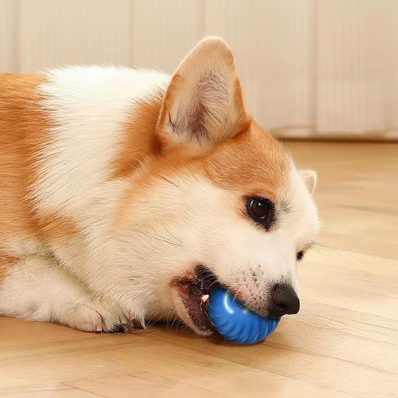 Smart Interactive Dog Toy Ball - Automatic Jumping and Rotating USB Rechargeable Chew Toy for Puppies