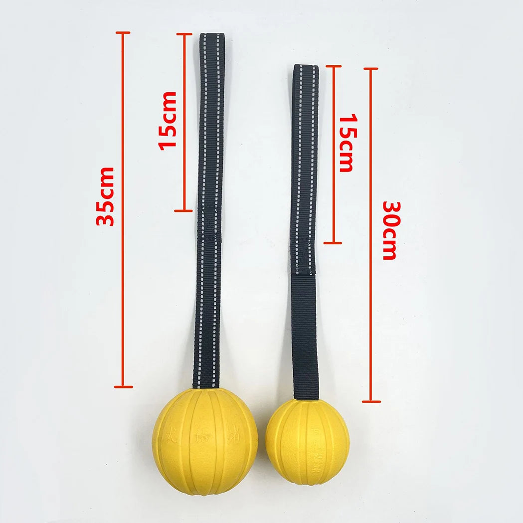 Durable Interactive Dog Toy Balls on Rope for Chewing and Training - EVA Foam, Floats for Small to Large Breeds