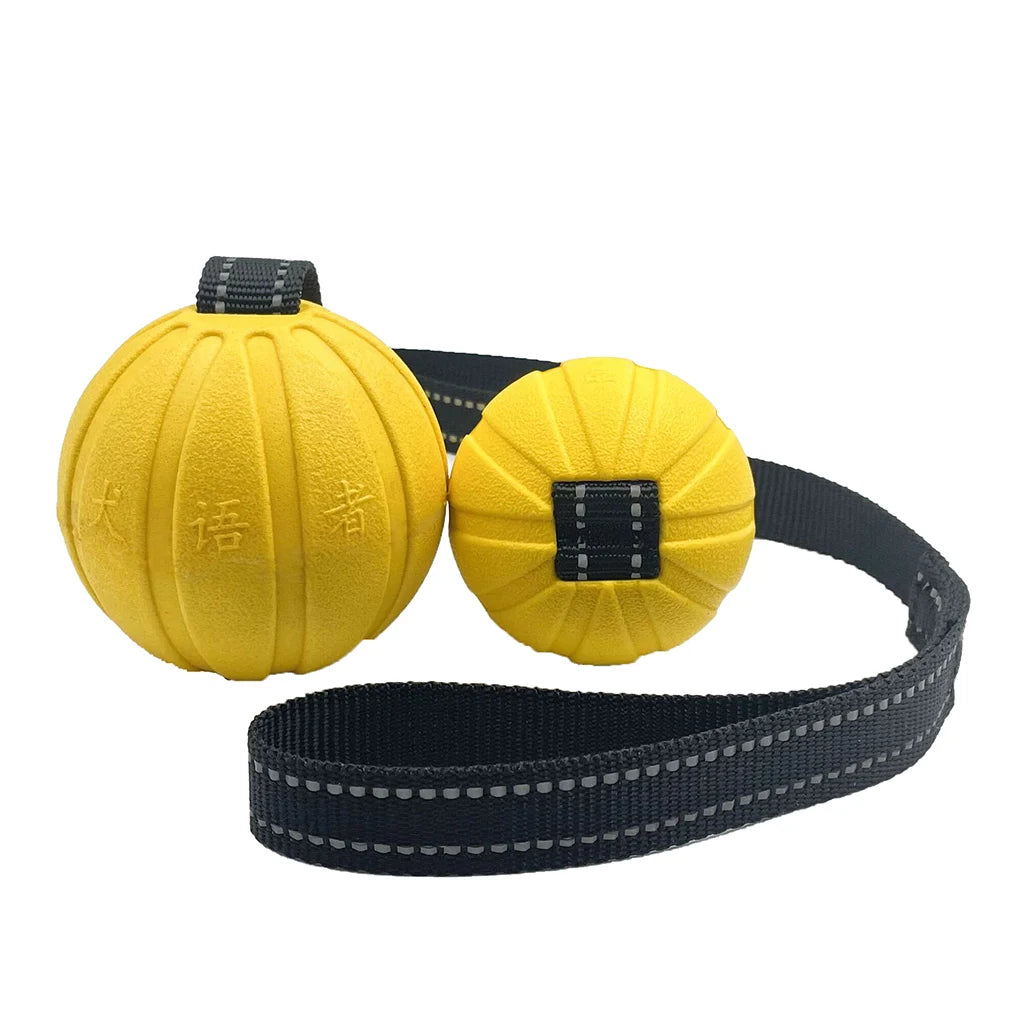 Durable Interactive Dog Toy Balls on Rope for Chewing and Training - EVA Foam, Floats for Small to Large Breeds