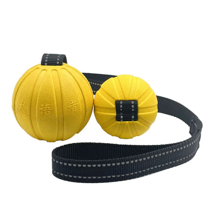 Durable Interactive Dog Toy Balls on Rope for Chewing and Training - EVA Foam, Floats for Small to Large Breeds