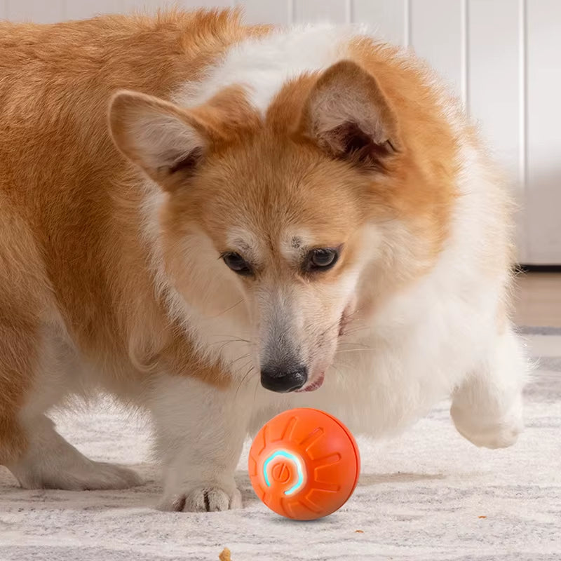 Smart Interactive Dog Toy Ball - Automatic Jumping and Rotating USB Rechargeable Chew Toy for Puppies
