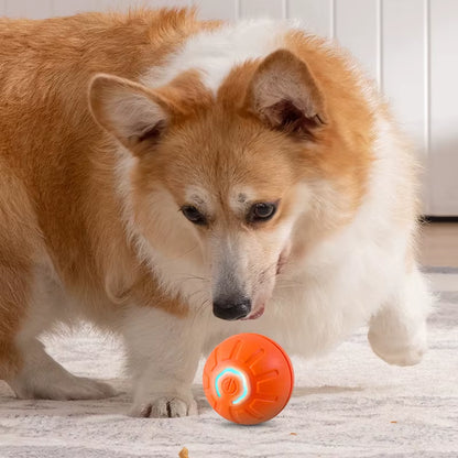 Smart Interactive Dog Toy Ball - Automatic Jumping and Rotating USB Rechargeable Chew Toy for Puppies
