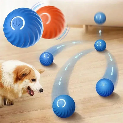 USB Automatic Interactive Dog and Cat Moving Ball Toy for Home and Pool Use