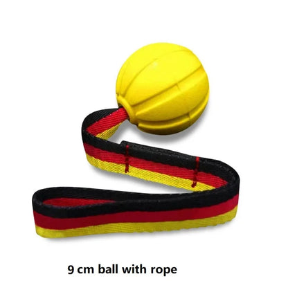 Durable Interactive Dog Toy Balls on Rope for Chewing and Training - EVA Foam, Floats for Small to Large Breeds