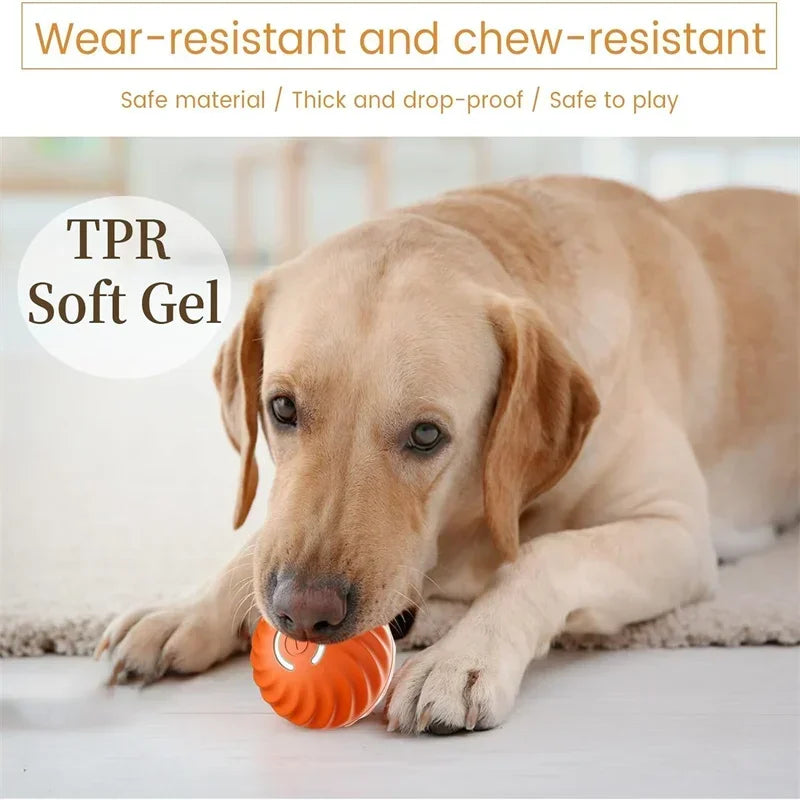 USB Automatic Interactive Dog and Cat Moving Ball Toy for Home and Pool Use