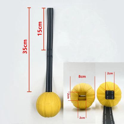 Durable Interactive Dog Toy Balls on Rope for Chewing and Training - EVA Foam, Floats for Small to Large Breeds