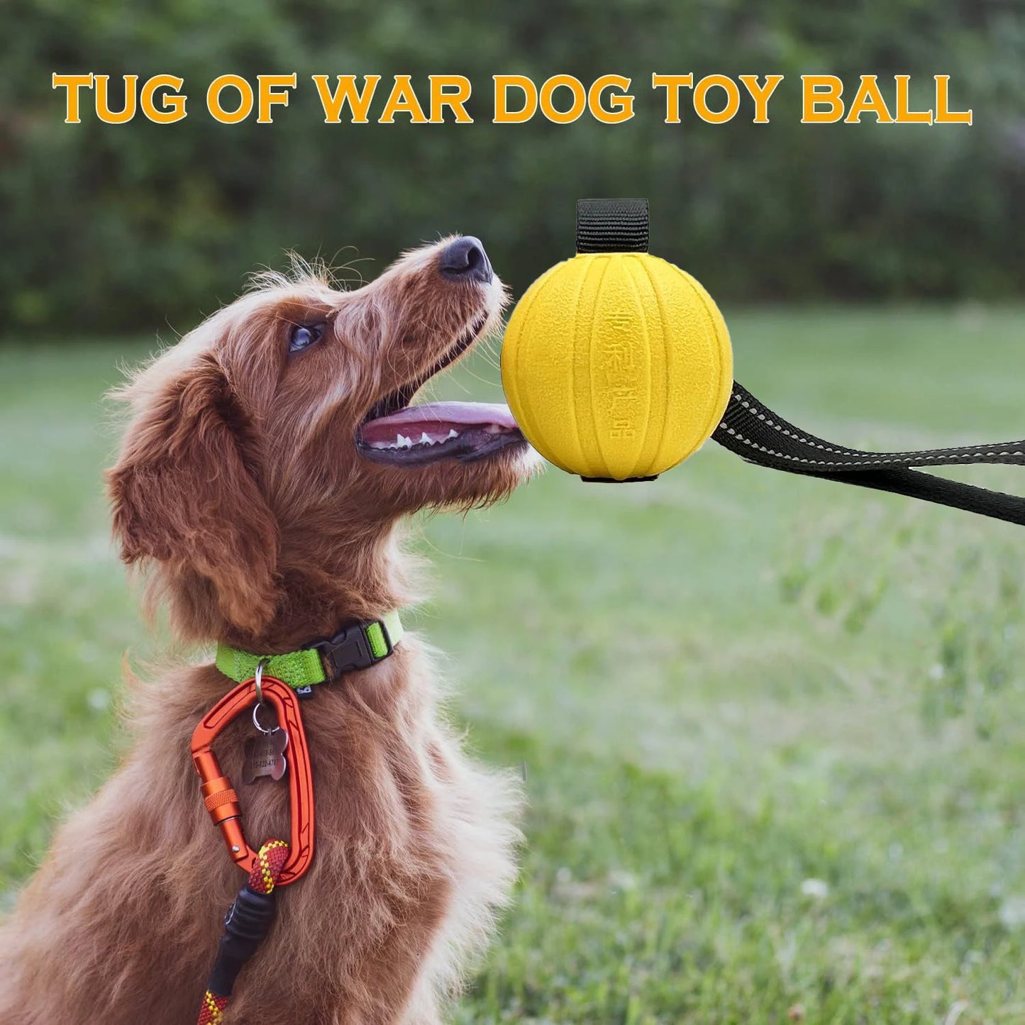 Durable Interactive Dog Toy Balls on Rope for Chewing and Training - EVA Foam, Floats for Small to Large Breeds