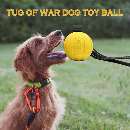 Durable Interactive Dog Toy Balls on Rope for Chewing and Training - EVA Foam, Floats for Small to Large Breeds