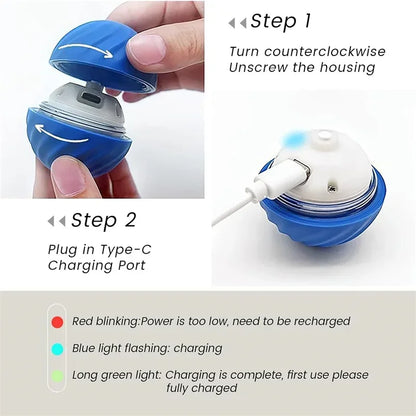 USB Automatic Interactive Dog and Cat Moving Ball Toy for Home and Pool Use