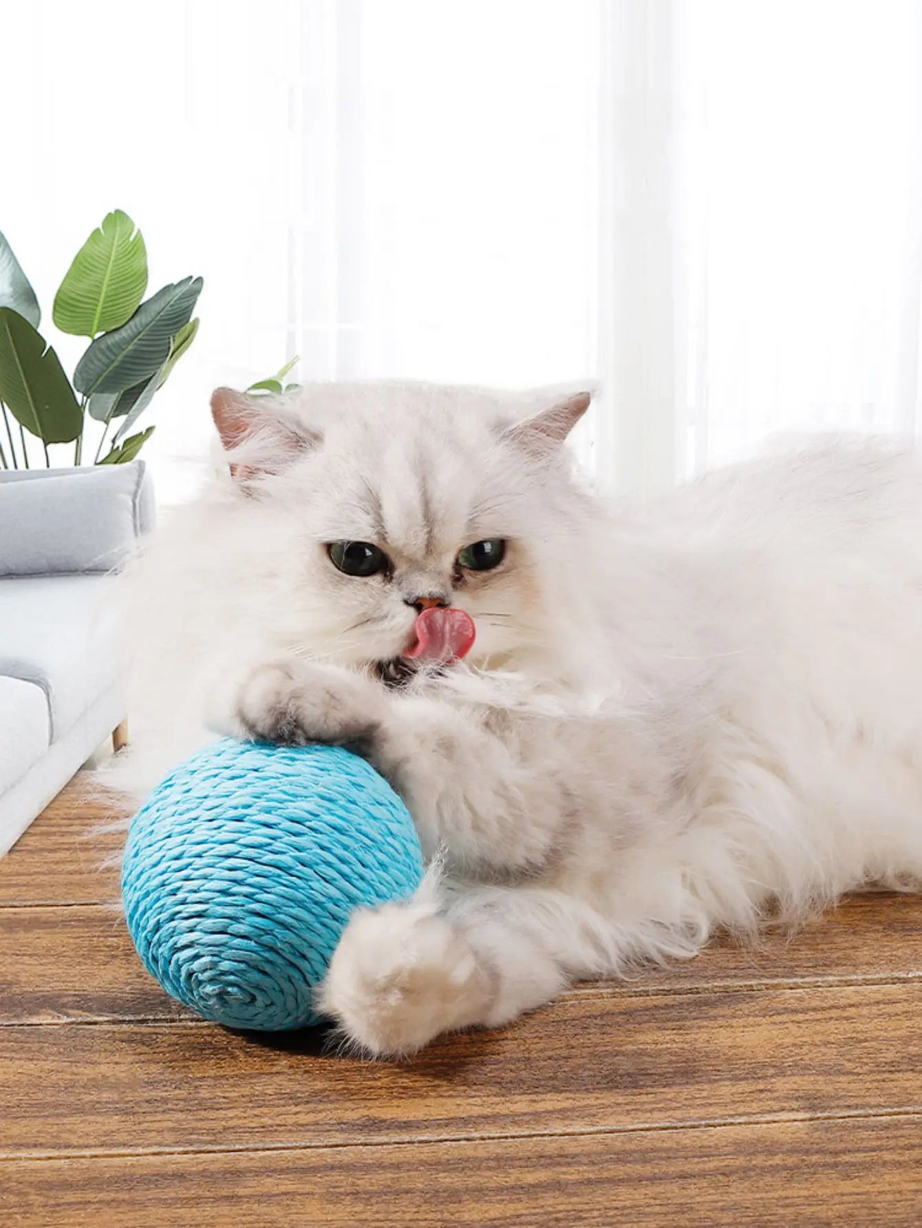 10CM Interactive Sisal Cat Scratching Ball Toy for Dental Care and Playful Engagement