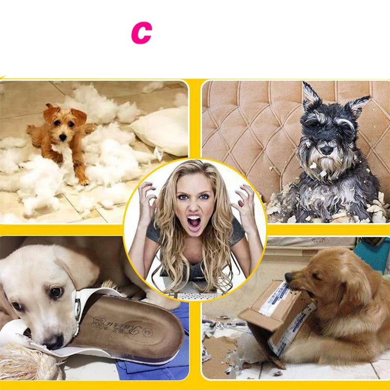 Interactive Silicone Pet Toy Ball for Dogs and Cats - Chew Treat Holder and Tooth Cleaning Squeaker for Training and Play