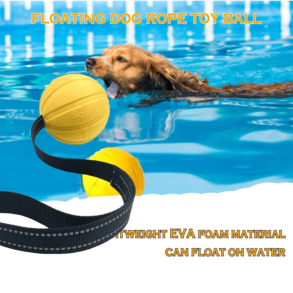 Durable Interactive Dog Toy Balls on Rope for Chewing and Training - EVA Foam, Floats for Small to Large Breeds