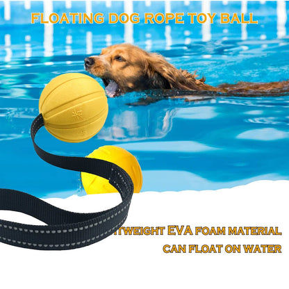 Durable Interactive Dog Toy Balls on Rope for Chewing and Training - EVA Foam, Floats for Small to Large Breeds